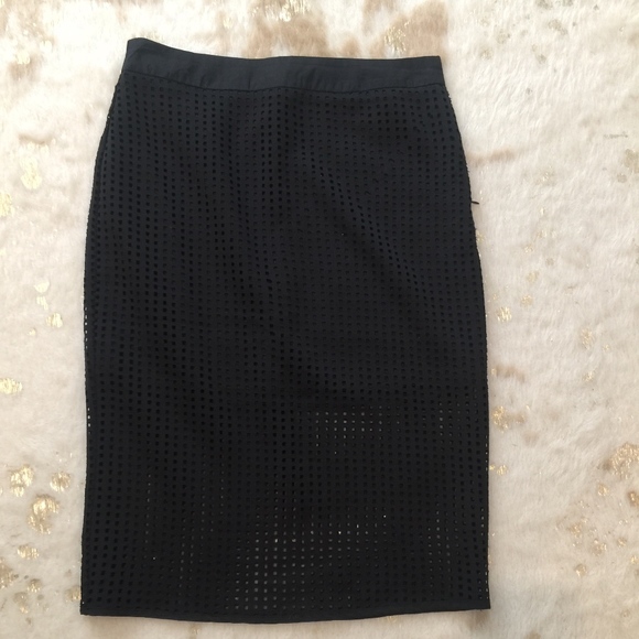 Black Pencil Skirt with Overlay - Picture 1 of 1